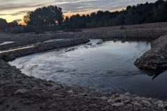 Die Strömung im Fischaufstieg erfordert etwas Geschick