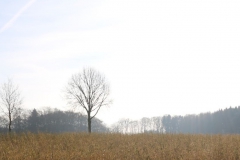 dropbox-EOS_IMG_037147