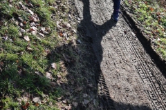 dropbox-EOS_IMG_037152