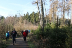 dropbox-EOS_IMG_037155