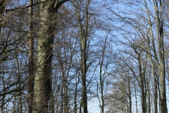 dropbox-EOS_IMG_037170