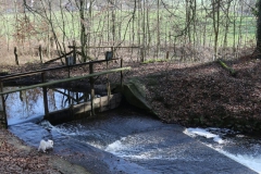 dropbox-EOS_IMG_037177